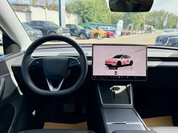 Model Y 2025 Model Rear-wheel drive version – фото 8