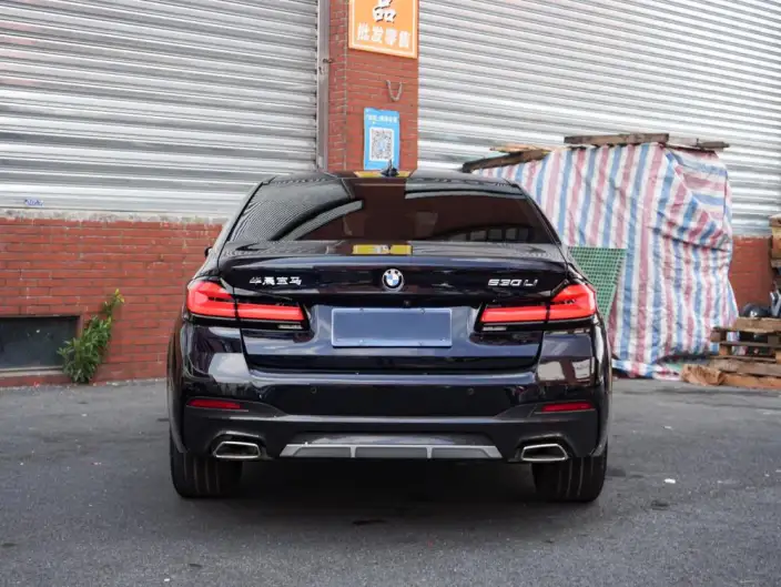 BMW 5 Series 2021 Model 530Li Exclusive Model M Sports Set – фото 4