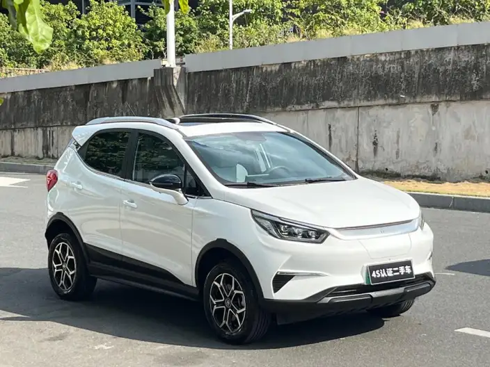 Yuan Pro 2023 Model 401KM Noble Model – фото 3