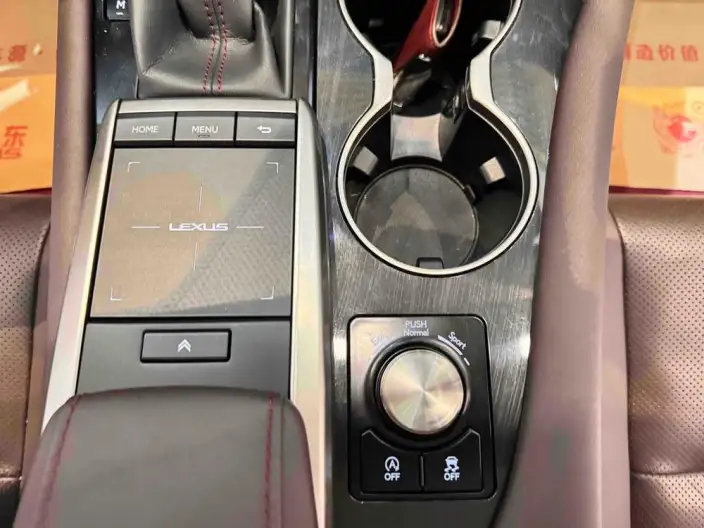 Lexus RX 2020 Model Facelift 300 4WD Elegant Edition – фото 10