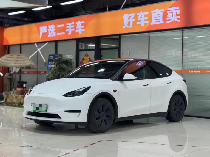 Model Y 2024 Model Rear-wheel drive version – фото 1