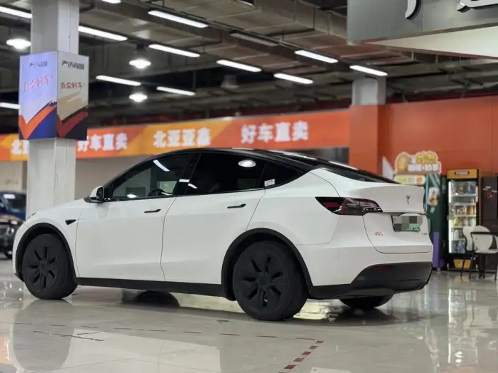 Model Y 2024 Model Rear-wheel drive version – фото 4