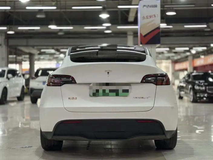 Model Y 2024 Model Rear-wheel drive version – фото 5