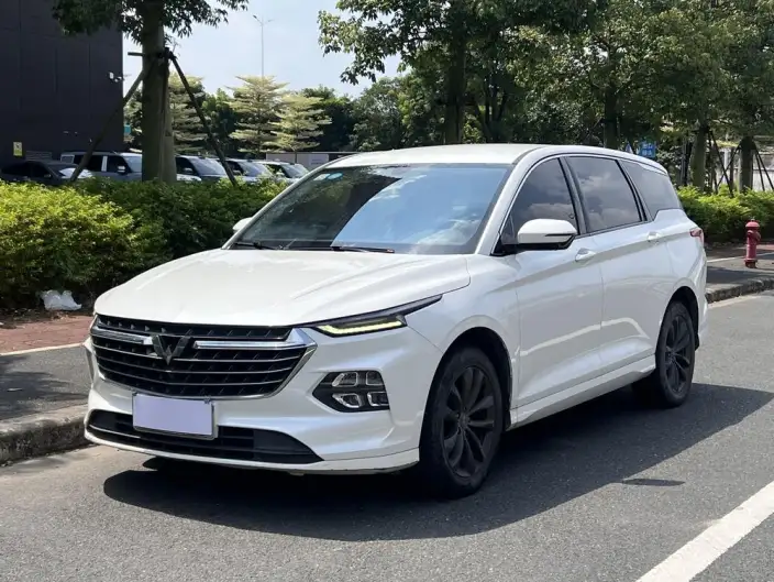 Wuling Victory 2020 Model 1.5T CVT Noble Model – фото 1