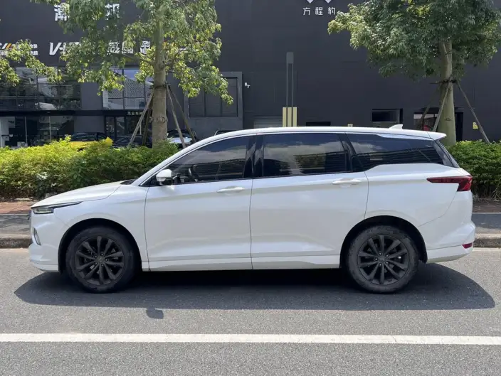Wuling Victory 2020 Model 1.5T CVT Noble Model – фото 4