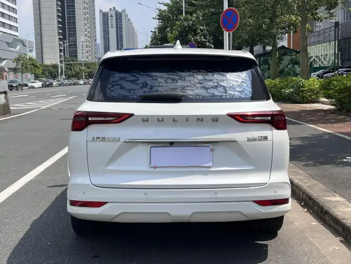 Wuling Victory 2020 Model 1.5T CVT Noble Model – фото 6
