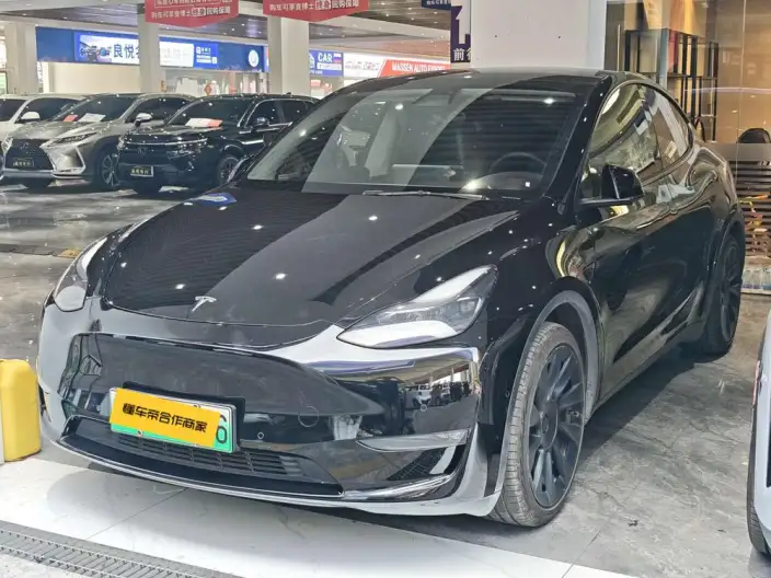 Model Y 2021 Model Standard Battery Life Rear-wheel drive version – фото 1