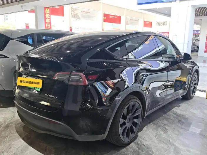 Model Y 2021 Model Standard Battery Life Rear-wheel drive version – фото 2