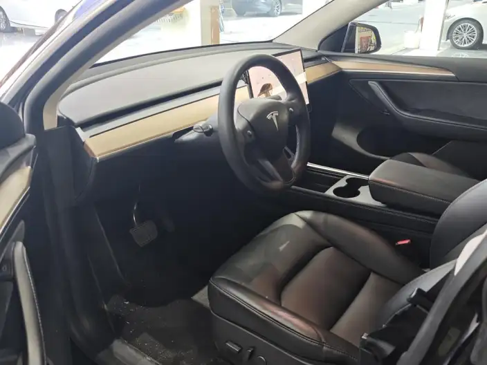 Model Y 2021 Model Standard Battery Life Rear-wheel drive version – фото 6