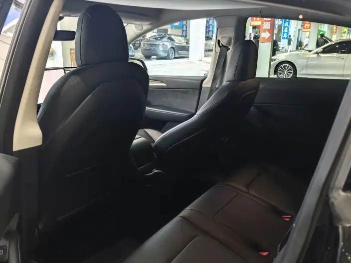 Model Y 2021 Model Standard Battery Life Rear-wheel drive version – фото 7