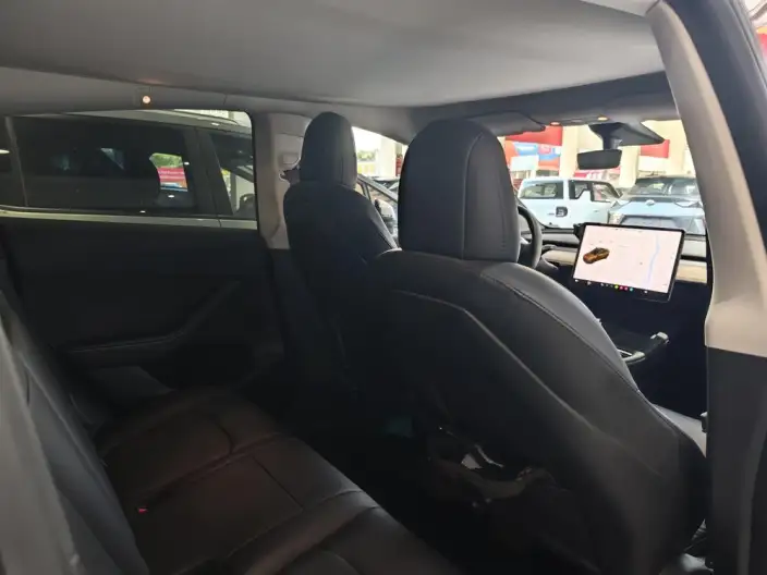 Model Y 2021 Model Standard Battery Life Rear-wheel drive version – фото 8
