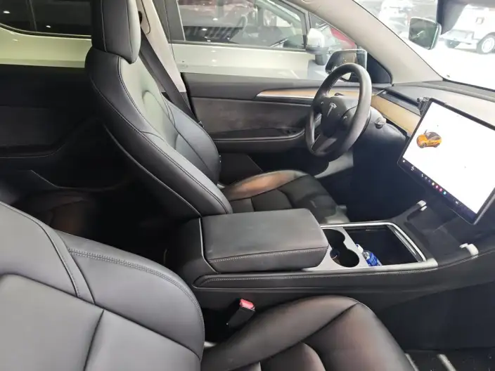 Model Y 2021 Model Standard Battery Life Rear-wheel drive version – фото 9