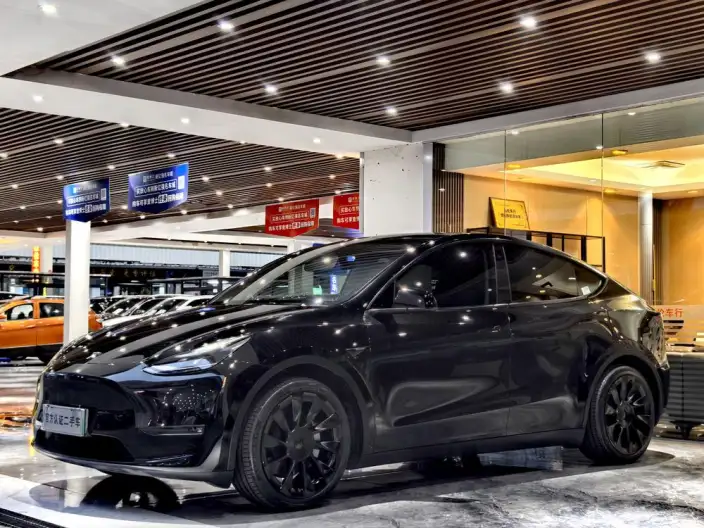 Model Y 2021 Model Standard Battery Life Rear-wheel drive version – фото 10