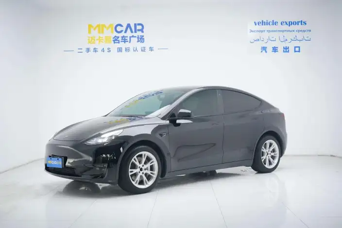 Model Y 2021 Model Standard Battery Life Rear-wheel drive version – фото 1