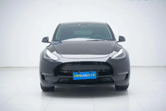 Model Y 2021 Model Standard Battery Life Rear-wheel drive version – фото 2