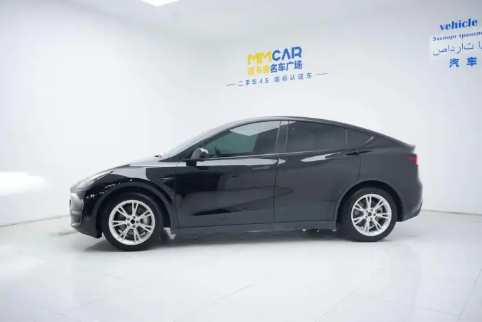 Model Y 2021 Model Standard Battery Life Rear-wheel drive version – фото 3