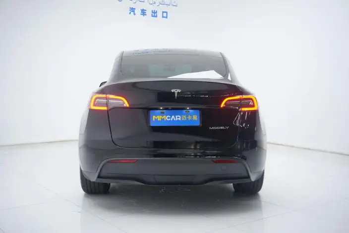 Model Y 2021 Model Standard Battery Life Rear-wheel drive version – фото 4