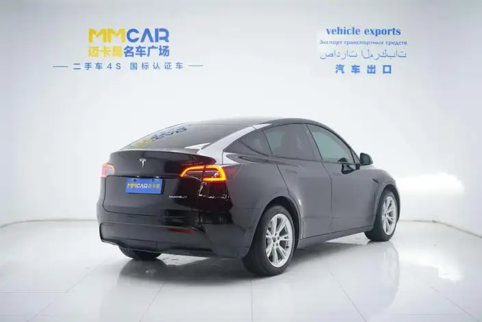 Model Y 2021 Model Standard Battery Life Rear-wheel drive version – фото 5