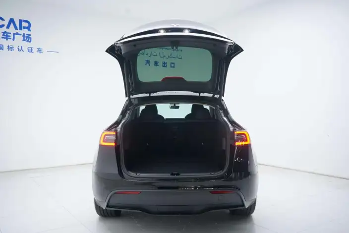 Model Y 2021 Model Standard Battery Life Rear-wheel drive version – фото 7