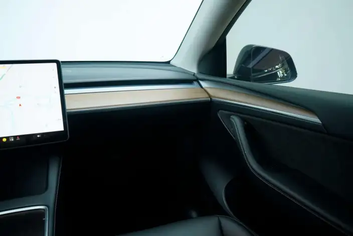 Model Y 2021 Model Standard Battery Life Rear-wheel drive version – фото 9