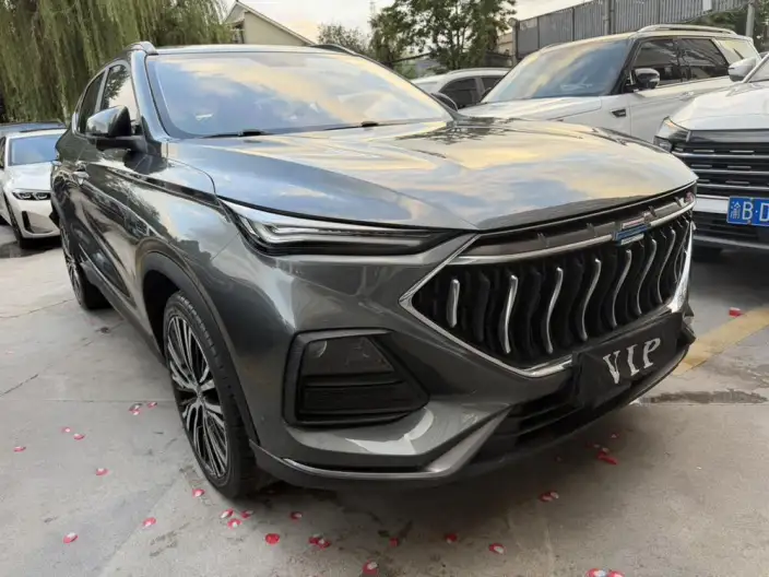 Changan Oshan X5 2021 Model 1.5T DCT Flagship Model – фото 3