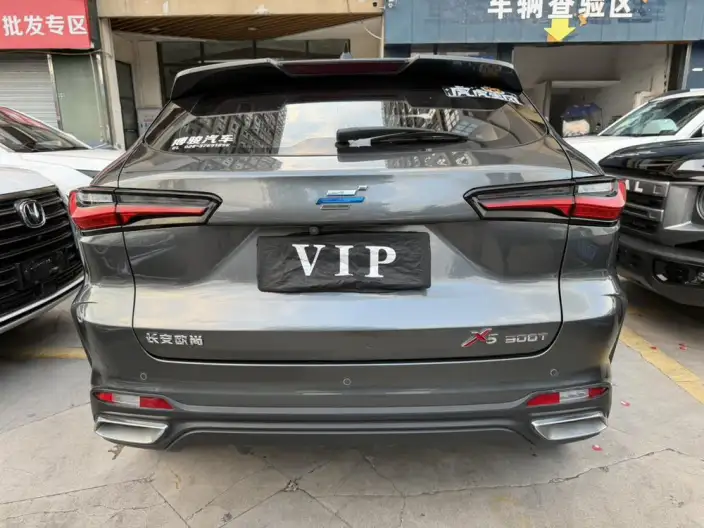 Changan Oshan X5 2021 Model 1.5T DCT Flagship Model – фото 5