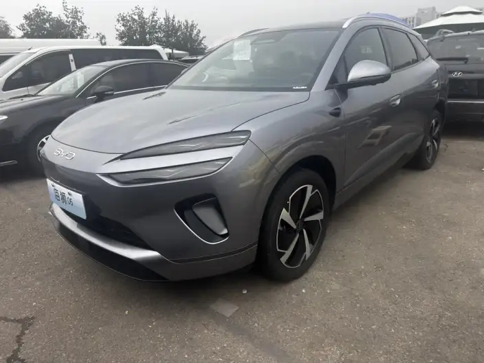 Sea Lion 06DM 2025 Model DM-i 205KM Pilot Pro Edition – фото 1