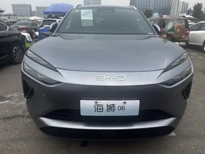 Sea Lion 06DM 2025 Model DM-i 205KM Pilot Pro Edition – фото 2