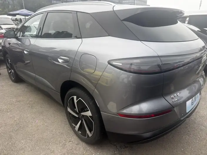 Sea Lion 06DM 2025 Model DM-i 205KM Pilot Pro Edition – фото 4