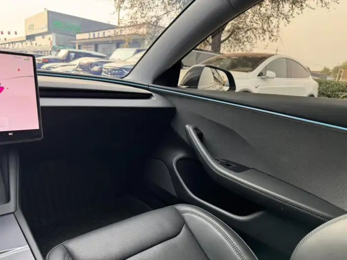 Model 3 2025 Model Facelift Rear-wheel drive version – фото 8