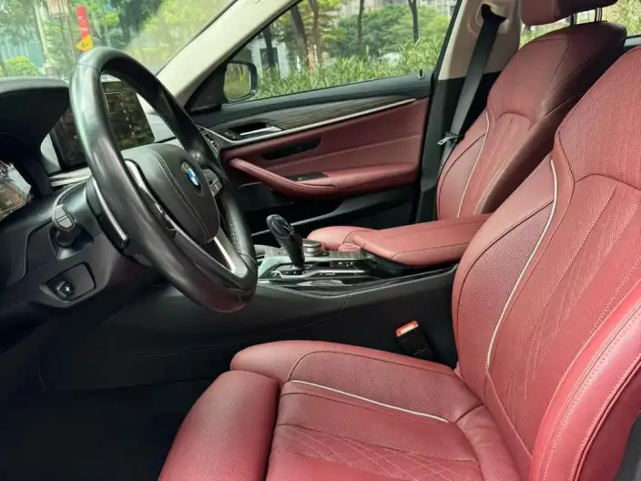 BMW 5 Series 2020 Model 530Li Exclusive Model Luxury Set – фото 7