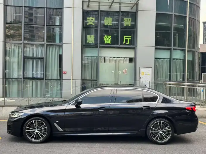 BMW 5 Series 2021 Model 530Li Leading Model M Sports Set – фото 3