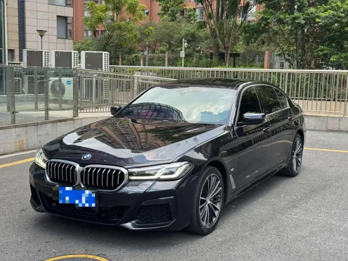 BMW 5 Series 2021 Model 530Li Leading Model M Sports Set – фото 10