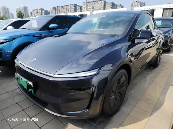 Model Y 2025 Model Rear-wheel drive version – фото 1