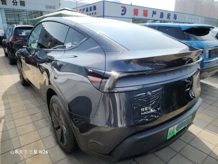 Model Y 2025 Model Rear-wheel drive version – фото 4