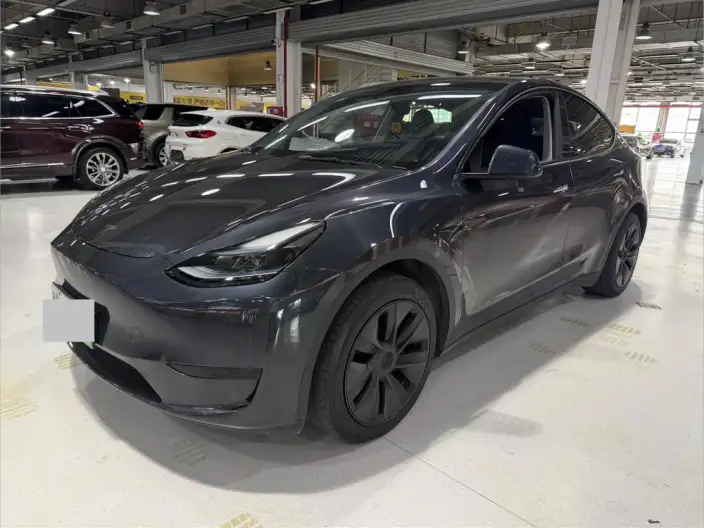 Model Y 2024 Model Rear-wheel drive version – фото 1
