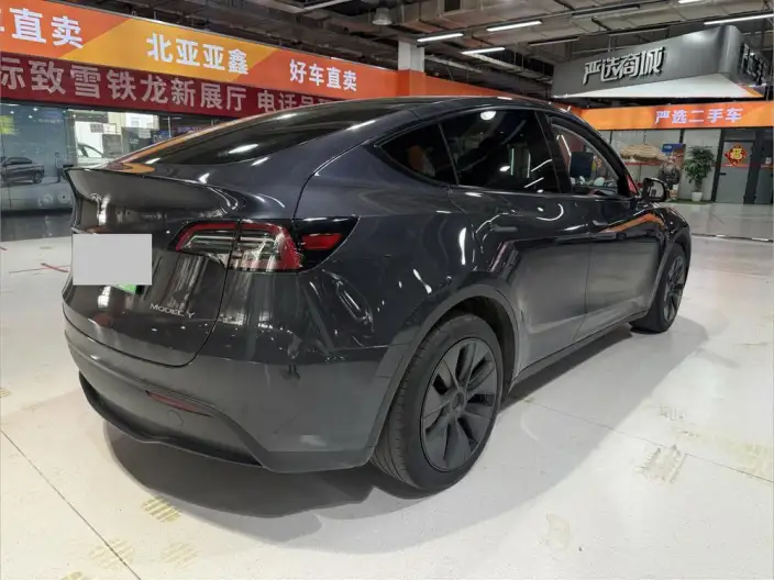 Model Y 2024 Model Rear-wheel drive version – фото 7