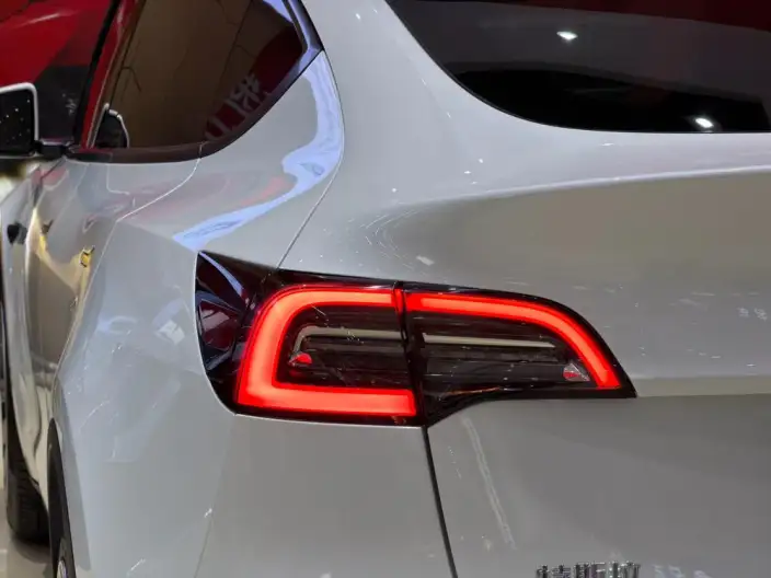 Model Y 2022 Model Rear-wheel drive version – фото 4
