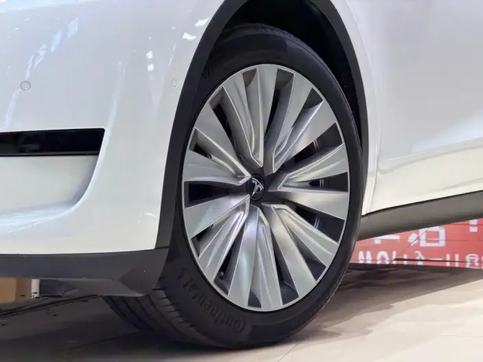 Model Y 2022 Model Rear-wheel drive version – фото 6