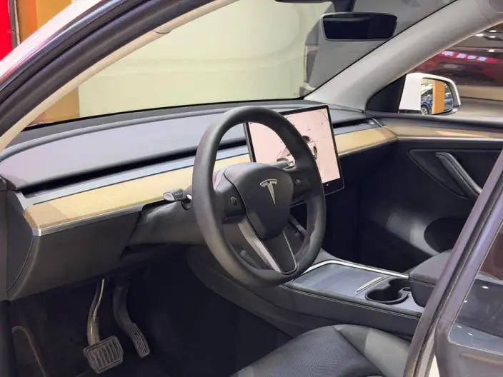 Model Y 2022 Model Rear-wheel drive version – фото 10