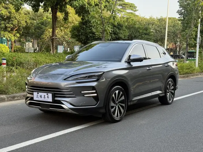 BYD Song PLUS DM 2024 Model DM-i Honor Edition 110KM Flagship Model – фото 1