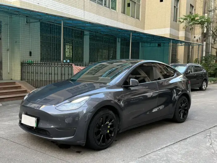Model Y 2021 Model Long Battery Life Pro All-wheel drive version – фото 1