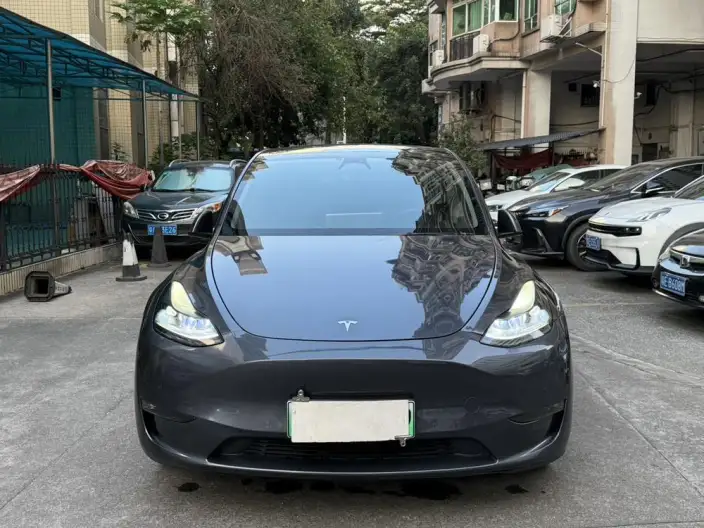 Model Y 2021 Model Long Battery Life Pro All-wheel drive version – фото 2