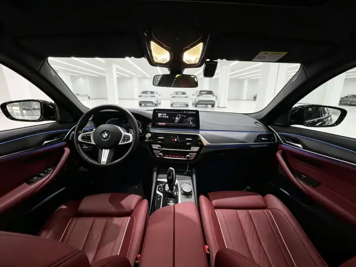 BMW 5 Series 2021 Model 530Li Exclusive Model M Sports Set – фото 6