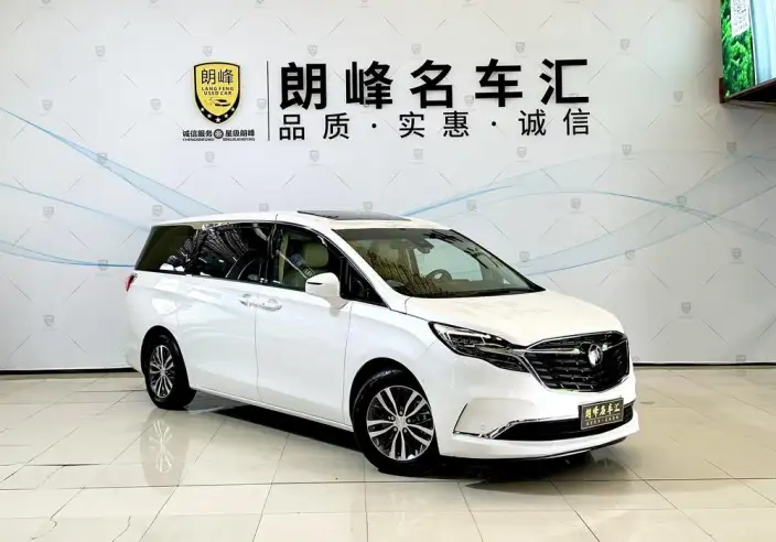 Buick GL8 2022 Model ES Luzun 653T Exclusive Model – фото 3