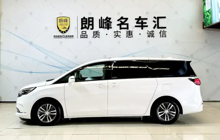 Buick GL8 2022 Model ES Luzun 653T Exclusive Model – фото 4