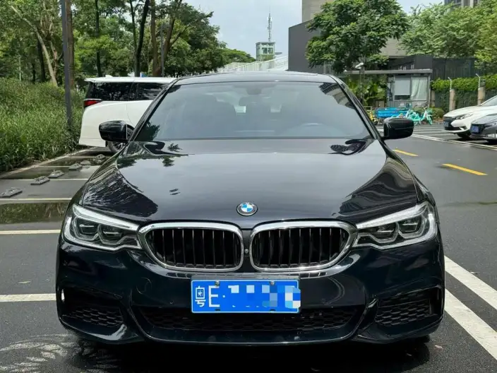 BMW 5 Series 2020 Model 530Li Leading Model M Sports Set – фото 2