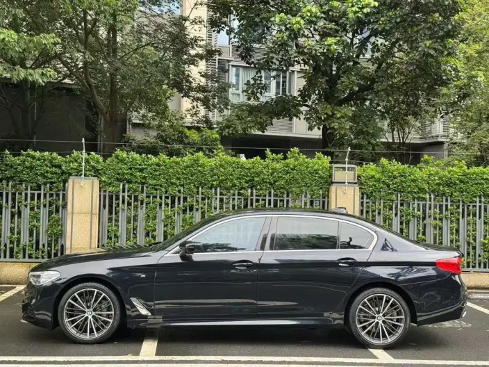BMW 5 Series 2020 Model 530Li Leading Model M Sports Set – фото 3