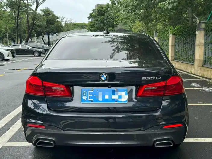 BMW 5 Series 2020 Model 530Li Leading Model M Sports Set – фото 4