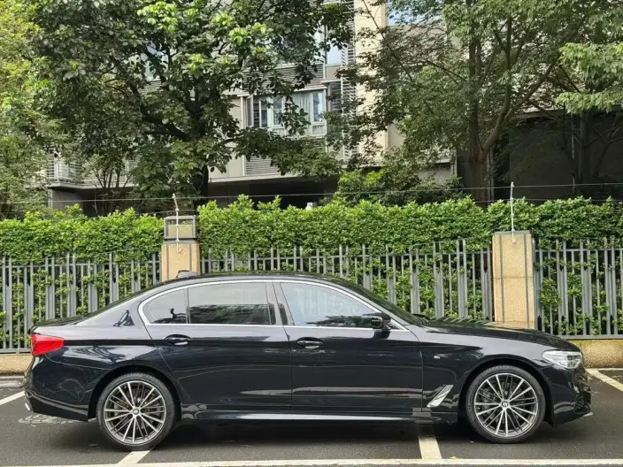 BMW 5 Series 2020 Model 530Li Leading Model M Sports Set – фото 5